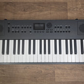 Roland GO:Keys 5 Keyboard, Graphite, Inc Music Rest & Pedal; Serial No: Z6Q1339 | Second Hand