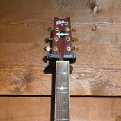 Washburn EA26 Festival Series Craig Chaquico: Serial No: S6100033 | Second Hand