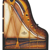 C. Bechstein Concert B212 Grand Piano in Polished Ebony