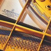C. Bechstein Concert D282 Grand Piano in Polished Ebony