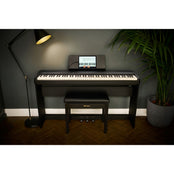 Roland FP40 Black Digital Piano Home Package