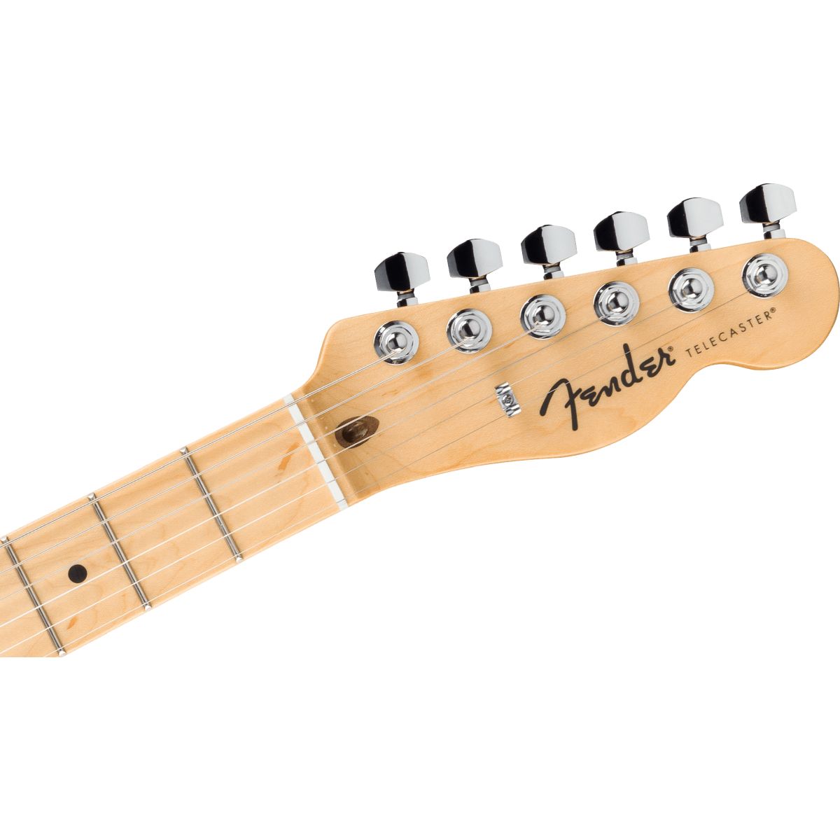 Fender Standard Telecaster; Maple Fingerboard, Black Pickguard, Butterscotch Blonde