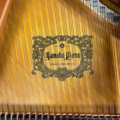 Yamaha C1 Grand Piano in Polished Ebony: Serial No: 6172792 | Second Hand