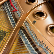 Yamaha C1 Grand Piano in Polished Ebony: Serial No: 6172792 | Second Hand