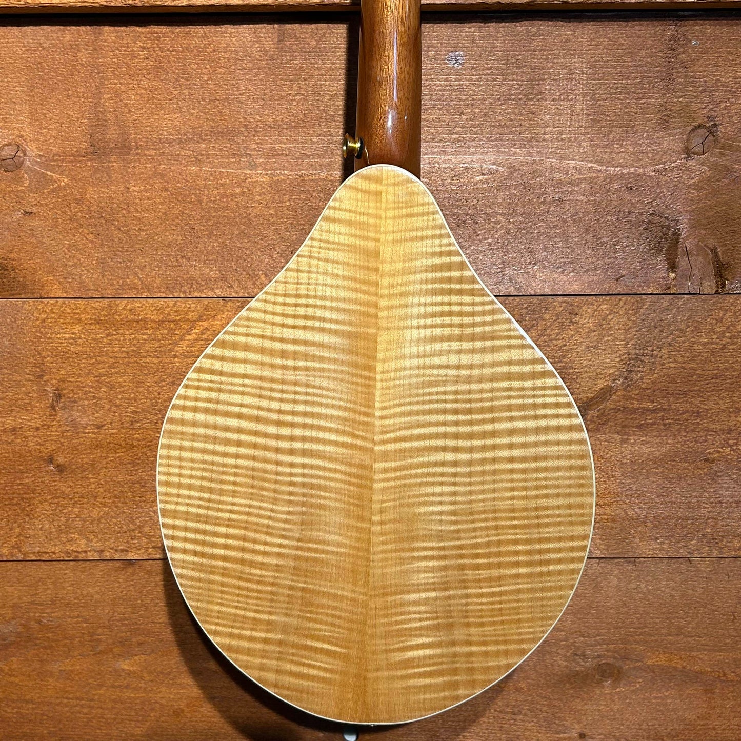 Ashbury AM-180 Mandolin | Second Hand