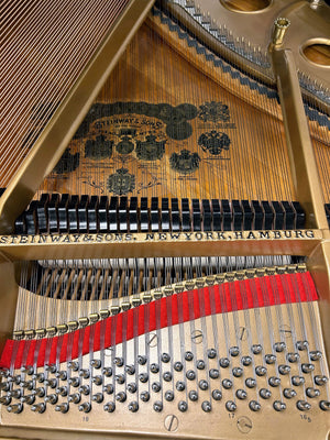 Reconditioned Steinway & Sons Model O Grand Piano; Serial no 163232