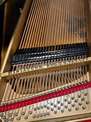 Reconditioned Steinway & Sons Model O Grand Piano; Serial no 163232