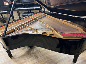 Reconditioned Steinway & Sons Model O Grand Piano; Serial no 163232