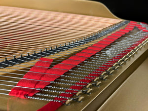 Reconditioned Steinway & Sons Model O Grand Piano; Serial no 163232