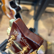 Washburn EA26 Festival Series Craig Chaquico: Serial No: S6100033 | Second Hand