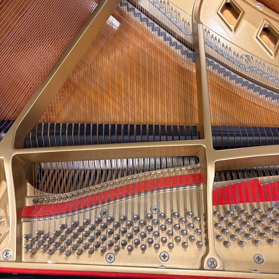 Boston GP156 Grand Piano in Polished Ebony: Serial No: 137219 | Second Hand