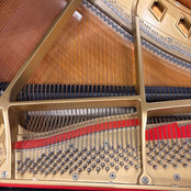 Boston GP156 Grand Piano in Polished Ebony: Serial No: 137219 | Second Hand