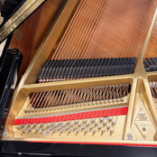 Boston GP156 Grand Piano in Polished Ebony: Serial No: 137219 | Second Hand