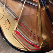 Boston GP156 Grand Piano in Polished Ebony: Serial No: 137219 | Second Hand