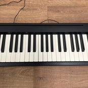 Roland FP10 Portable Piano; Serial No: Z7J5549 | Second Hand