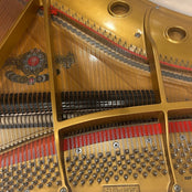 Samick SG155 Grand Piano in Polished White: Serial No: IMFG0547 | Second Hand