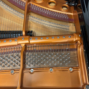 Reconditioned Bosendorfer 170 Grand Piano; Serial no 22485