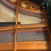 Bosendorfer Model 170 Grand Piano in Polished Ebony: Serial No: 25024 | Reconditioned
