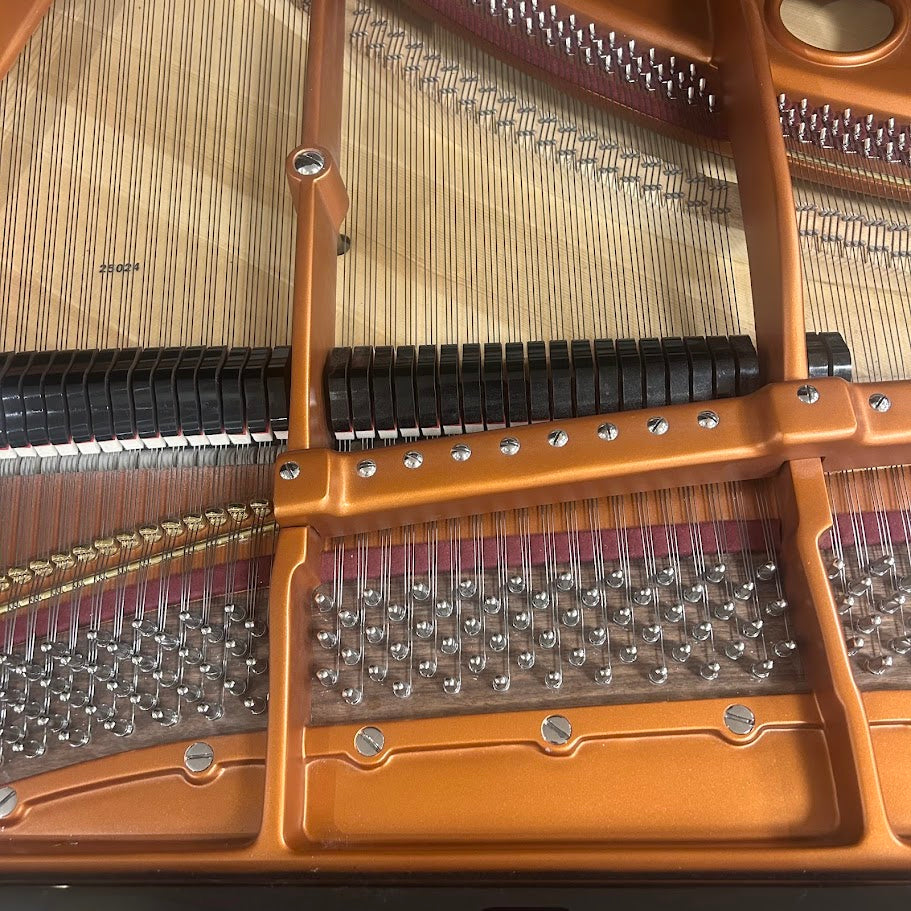 Bosendorfer Model 170 Grand Piano in Polished Ebony: Serial No: 25024 | Reconditioned