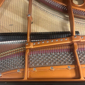 Bosendorfer Model 170 Grand Piano in Polished Ebony: Serial No: 25024 | Reconditioned