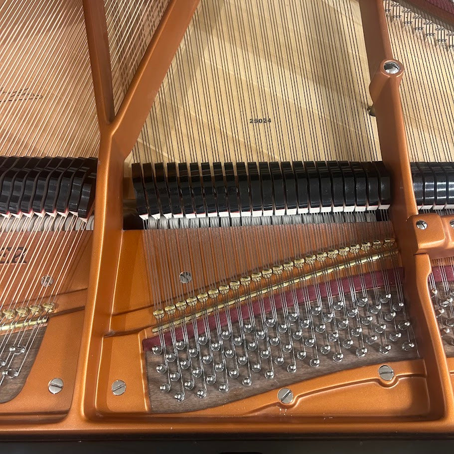 Bosendorfer Model 170 Grand Piano in Polished Ebony: Serial No: 25024 | Reconditioned