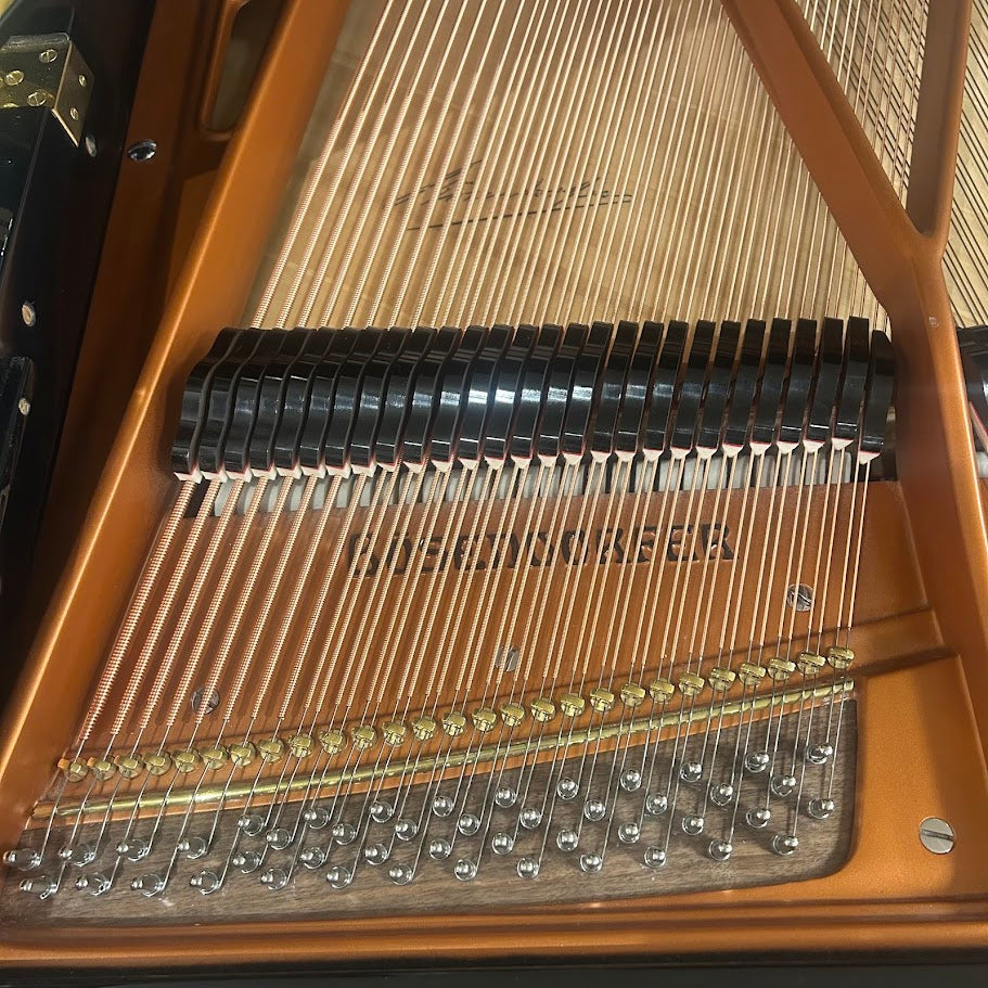 Bosendorfer Model 170 Grand Piano in Polished Ebony: Serial No: 25024 | Reconditioned