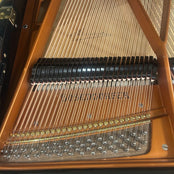Bosendorfer Model 170 Grand Piano in Polished Ebony: Serial No: 25024 | Reconditioned