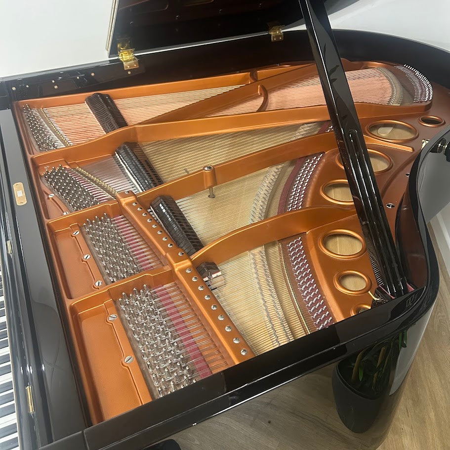 Bosendorfer Model 170 Grand Piano in Polished Ebony: Serial No: 25024 | Reconditioned