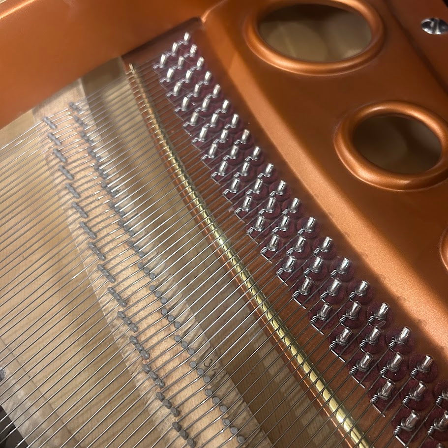 Bosendorfer Model 170 Grand Piano in Polished Ebony: Serial No: 25024 | Reconditioned