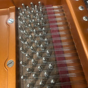 Bosendorfer Model 170 Grand Piano in Polished Ebony: Serial No: 25024 | Reconditioned
