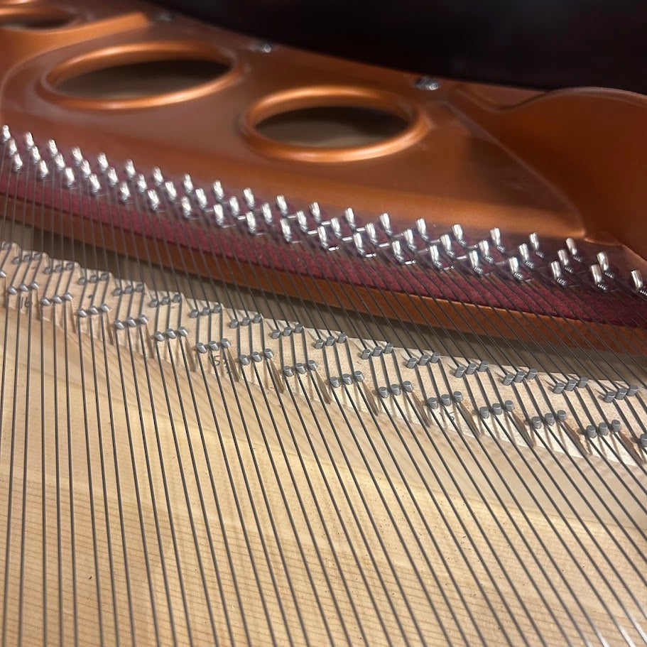 Bosendorfer Model 170 Grand Piano in Polished Ebony: Serial No: 25024 | Reconditioned