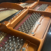 Bosendorfer Model 170 Grand Piano in Polished Ebony: Serial No: 25024 | Reconditioned