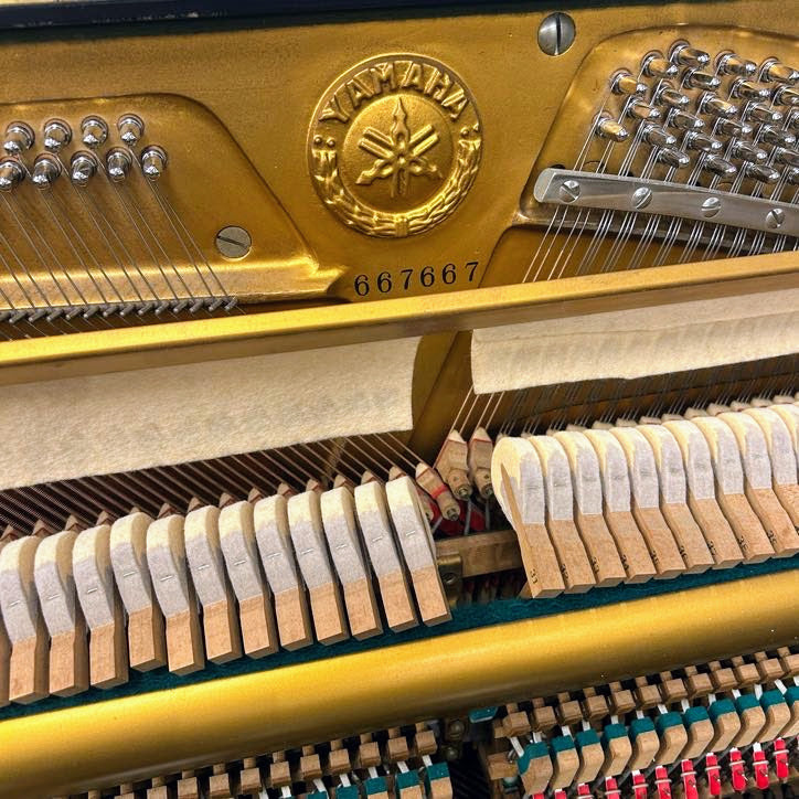Yamaha U1 Upright Piano; Polished Ebony: Serial No: 667667 | Reconditioned