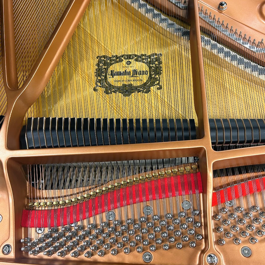 Yamaha GC1 Grand Piano; Polished Ebony: Serial No: 6407468 | Second Hand