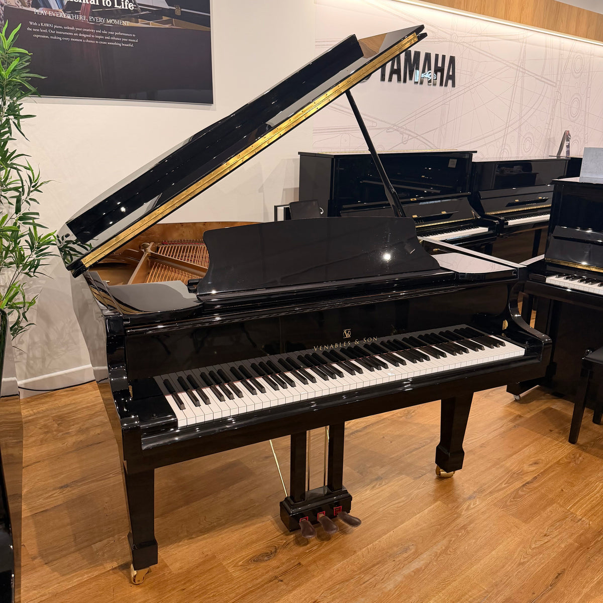 Venables & Sons 151 Grand Piano in Polished Ebony: Serial No: V18145 | Second Hand