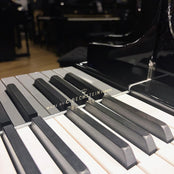 W Hoffmann Professional P162 Grand Piano; Polished Ebony: Serial No: 173521 | Second Hand