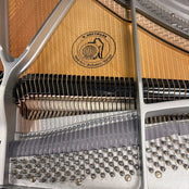 W Hoffmann Professional P162 Grand Piano; Polished Ebony: Serial No: 173521 | Second Hand
