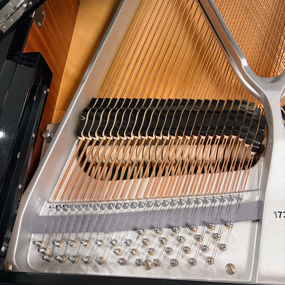 W Hoffmann Professional P162 Grand Piano; Polished Ebony: Serial No: 173521 | Second Hand