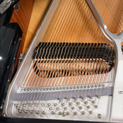 W Hoffmann Professional P162 Grand Piano; Polished Ebony: Serial No: 173521 | Second Hand