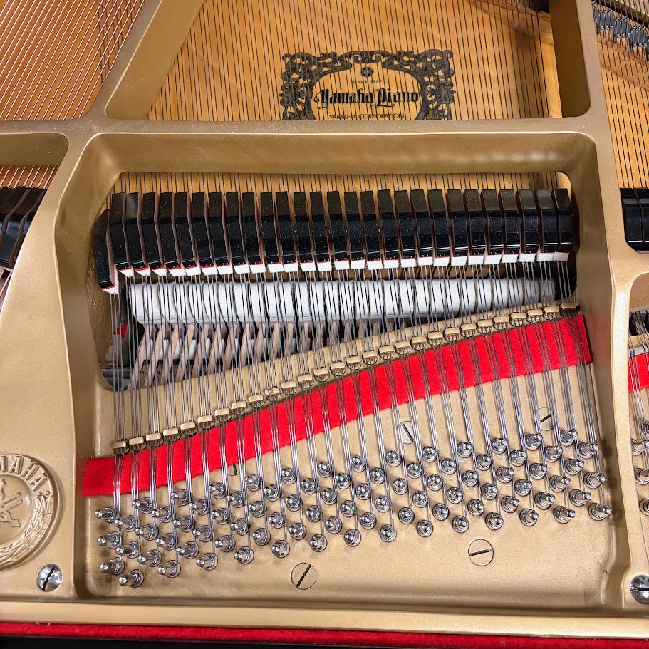 Yamaha C3 Polished Ebony Grand Piano Serial No: B2263607 | Reconditioned