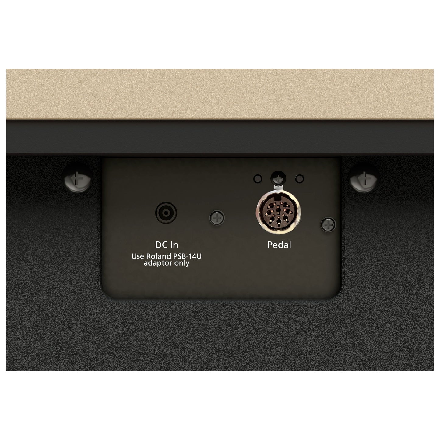 Roland Kiyola KF-20 Pure Oak | Bundle including matching bench