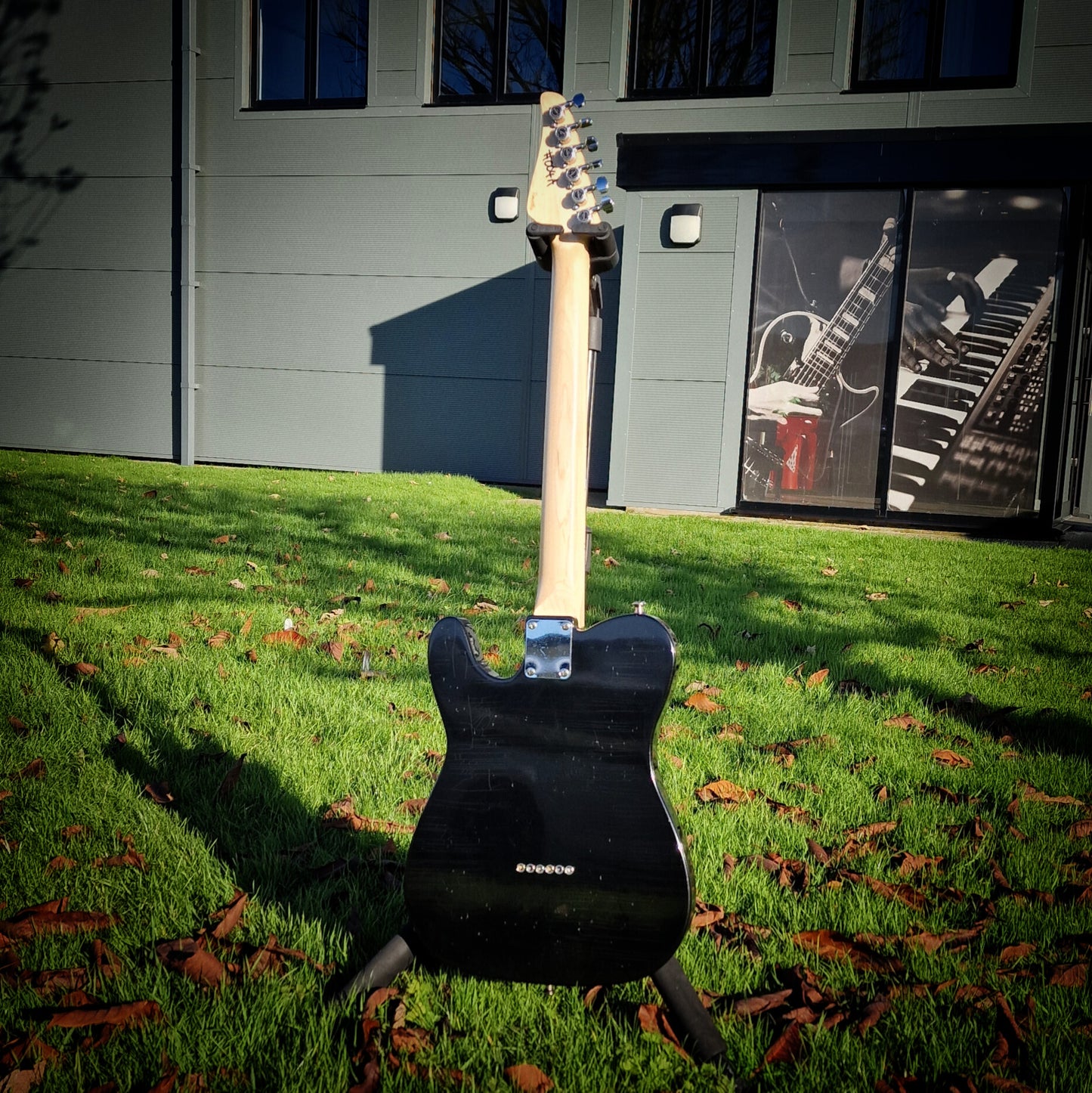 Moore Guitars Timothy Thinline; Black #004A