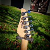 Moore Guitars Timothy Thinline; Black #004A