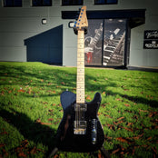 Moore Guitars Timothy Thinline; Black #004A