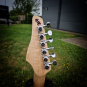 Moore Guitars Timothy; Mocha #016