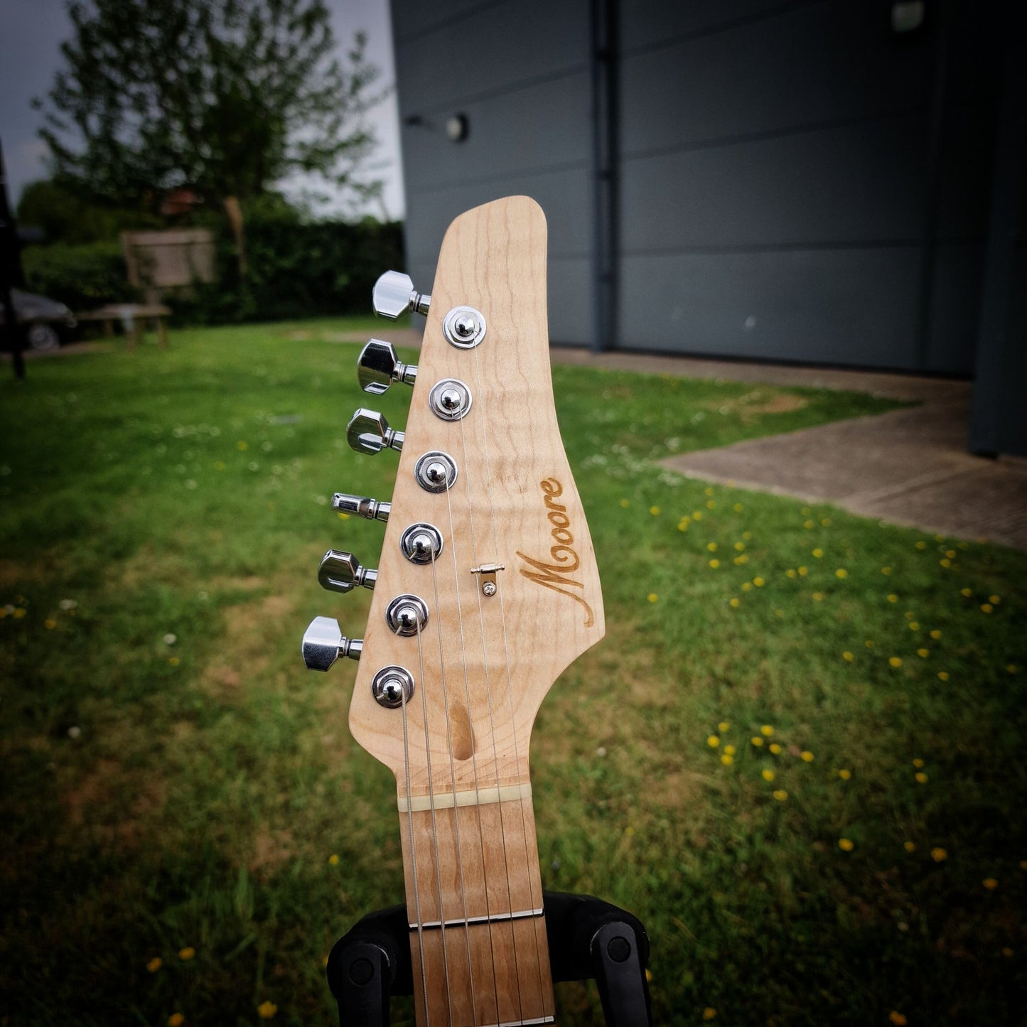 Moore Guitars Timothy; Mocha #016