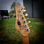 Moore Guitars Genesis; Wood #023