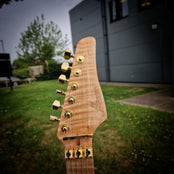 Moore Guitars Genesis; Wood #023