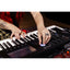 Yamaha MODX-M6 Synthesizer Keyboard | 61 Keys