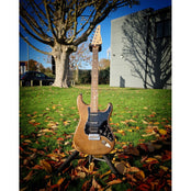 Moore Guitars Genesis; Mocha Copper #006